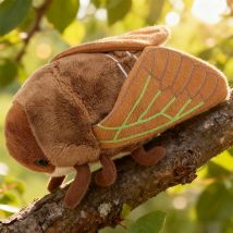 18cm Funny Creative Cartoon Insect Simulation Golden Cicada Plush Toy Brown Insect Soft Plush Toy Birthday Gift for Boy or Girls
