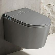 Black/Gray/White Ultimate Wall-Hung Smart Toilet with Bidet Built In WaterTank One Piece Elongated Toilet  Warm Water HeatedSeat