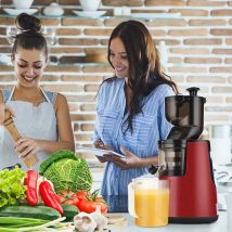 220V Automatische Entsafter Hause Schlacke Trennung Ingwer Obst Gemüse Entsafter Multifunktionale Obst Langsam Entsafter