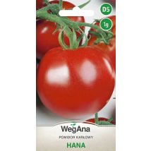 Hana Zwergtomate 1g Samen-VegAna