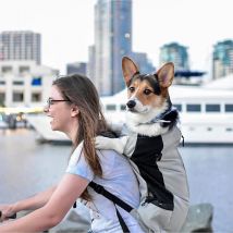 Mochila de nailon fuerte para transportar perros pequeños y medianos, mochila de ciclismo transpirable de alta calidad para viajes al aire libre, suministros para mascotas