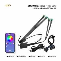 RGBW DRL LED Modules For BMW 2 Series F22 LCI 2018-2021 Angel Eyes 63117494851 63117494852