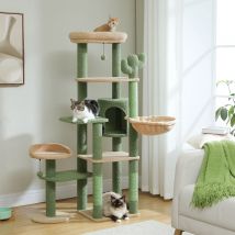 Albero per gatti alto Cactus per gatti di grandi dimensioni torre per gatti multilivello per gatti interni condominio per gatti con amaca grande tiragraffi 2 posatoi