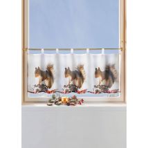 Rideau écureuil de Noël - blanc / brun / à motifs - Gr. 60 x 120 cm de Goldner Fashion