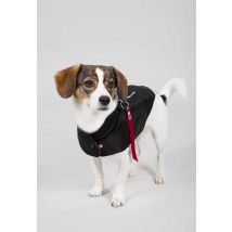 Dog MA-1 Nylon Flight Jacket Hundezubehör für Hunde - Größe L - Schwarz - Alpha Industries