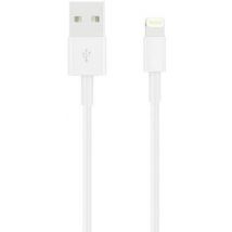 Apple iPad/iPhone/iPod Cable [1x USB 2.0 connector A - 1x Apple Dock lightning plug] 2.00 m White