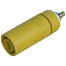 SKS Hirschmann SAB 2640 LK Au Safety jack socket Socket, vertical vertical Pin diameter: 4 mm Yellow 1 pc(s)