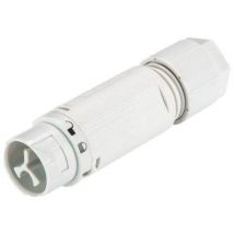 Wieland Electric 46.032.4554.0 Bullet connector Plug, straight Total number of pins: 2 Series (round connectors): RST® MINI 1 pc(s)