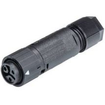 Wieland 46.031.4553.1 Bullet connector Connector, straight Total number of pins: 2 + PE Series (round connectors): RST® MINI 1 pc(s)