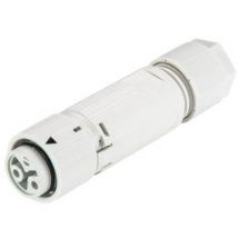 Wieland 46.031.4554.0 Bullet connector Connector, straight Total number of pins: 2 Series (round connectors): RST® MINI 1 pc(s)