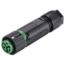 Wieland Electric 46.031.4555.7 Bullet connector Connector, straight Total number of pins: 2 + PE Series (round connectors): RST® MINI 1 pc(s)