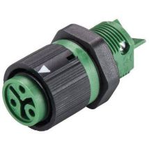 Wieland Electric 46.031.5055.7 Bullet connector Socket, built-in Total number of pins: 2 + PE Series (round connectors): RST® MINI 1 pc(s)