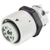 Wieland 46.051.5054.0 Bullet connector Socket, built-in Total number of pins: 3 + PE Series (round connectors): RST® MINI 1 pc(s)