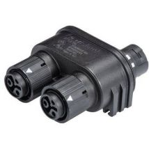 Wieland 46.030.1253.1 Bullet connector splitter Total number of pins: 2 + PE Series (round connectors): RST® MINI 1 pc(s)