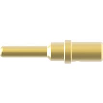 TE Connectivity Pin housing cable DTM Total number of pins 2 DTM04-2P-P006 1 pc(s)