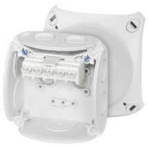 Hensel 62000001 Junction box (L x W x H) 62 x 93 x 93 mm Grey-white (RAL 7035) IP66 1 pc(s)