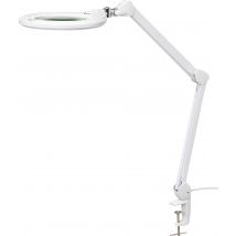 TOOLCRAFT TO-7427319 1160 lm LED 7 Magnifying Lamp with clamp Magnification=1.75 x 178 mm 2021 Energy Efficiency Class F (A - G)
