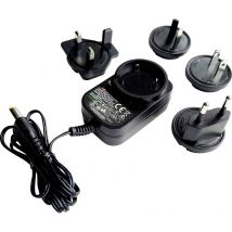 Dehner Elektronik SYS 1121-0624-W2E Mains PSU (fixed voltage) 24 V DC 0.25 A 6 W Regulated, incl. UK adapter, incl. US adapter, incl. AUS adapter