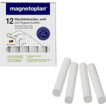 magnetoplan Chalk 12307 White N/A 12 pc(s)