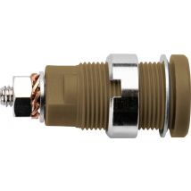 Safety socket Brown Schuetzinger DI SEB 6445 Ni / BR 1 pc(s)