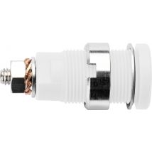Safety socket White Schuetzinger DI SEB 6445 Ni / WS 1 pc(s)