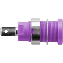 Safety socket Violet Schuetzinger DI SEB 6450 Ni / PVI 1 pc(s)