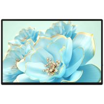 raysgem RC185PTM Touchscreen EEC: E (A - G) 47 cm (18.5 inch) 1980 x 1080 p 16:9 5 ms HDMI™, USB C®, Audio stereo (3.5 mm jack) IPS LCD