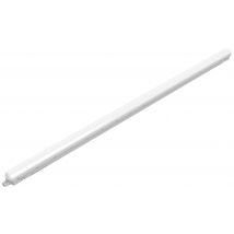 Philips LED ProjectLine Wet room light LED (monochrome) 53 W Neutral white White