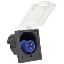 AS Schwabe 62470 CEE CARA feed-in plug 16 A 230 V 1 pc(s)