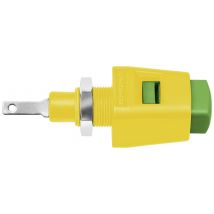 Schuetzinger Spring-loaded terminal Green-yellow 5 A 1 pc(s)