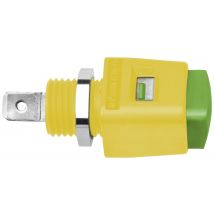 Schuetzinger Spring-loaded terminal Green-yellow 16 A 1 pc(s)