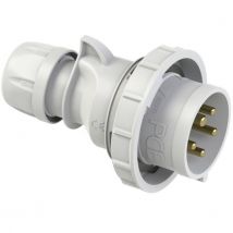 PC Electric Shark 0252-1 CEE plug 32 A 5-pin 1 pc(s)