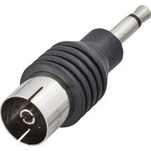 Renkforce RF-4197105 Coax jack adapter Connections: 3.5 mm plug, IEC coax socket 1 pc(s)