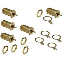 BKL Electronic 0403549 F socket Recess-mount, gold-plated Connections: F socket 5 pc(s)