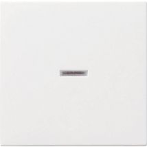 GIRA Cover Control switch System 55, Standard 55, E2, Event, Event Transparent, Event Opaque, Esprit, ClassiX Clean white (glossy) 029003 1 pc(s)