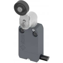 Pizzato Elettrica NF B112KG-DN2 NF B112KG-DN2 Limit switch 250 V AC 4 A Pivot lever momentary IP67 1 pc(s)