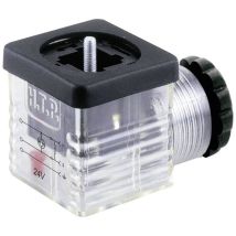 Valve plug with function display (type A) Transparent Pins:2 + PE G1TU2L01 HTP Content: 1 pc(s)