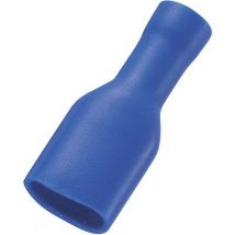 TRU COMPONENTS 737840-6.35 Blade receptacle Connector width: 6.35 mm Connector thickness: 0.8 mm 180 ° Insulated Blue 50 pc(s)