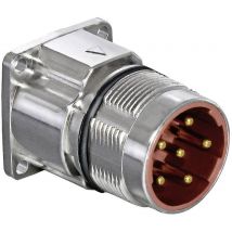 Intercontec BEGA120MR11000200C00 Contact connection: 4 x 0.35 - 2.5 mm² · 4 x 0.14 - 1.0 mm² 24 / 7 A BEGA120MR11000200C00 Intercontec Content: 1 pc(s)