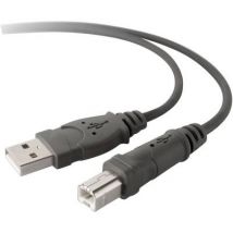 Belkin USB cable USB 2.0 USB-A plug, USB-B plug 3.00 m Grey F3U133b10