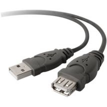 Belkin USB cable USB 2.0 USB-A plug, USB-A socket 3.00 m Black UL-approved F3U153BT3M
