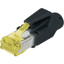 Digitus A-MO6 8/8 HRS CAT 6 RJ45 Modular-Stecker, geschirmt, inkl. Knickschutztülle A-MO6 8/8 HRS S