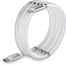Renkforce USB-Kabel USB 2.0 USB-C® Stecker, Apple Lightning Stecker 2.00 m Weiß TO-6886782