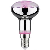 Paulmann LED-Pflanzenlampe Wachstum 230 V E14 4 W Bernstein 1 St.