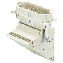 Wieland Electric 73.110.4053.0 Klemmenadapter Gesamtpolzahl 40 4 St.