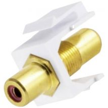 BKL Electronic 2900014 Verbindungsteil