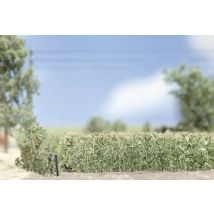 Busch 1202 H0 Maisfeld Fertigmodell