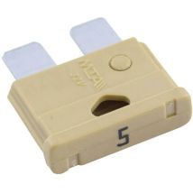 MTA Automotive 340024 Standard Flachsicherung 5 A Beige