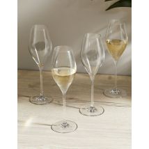 The Sommelier's Edit Set of 4 Prosecco Glasses - 1SIZE - Clear, Clear