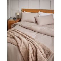 M&S Collection Pure Brushed Cotton Flat Sheet - 5FT - Biscuit, Biscuit